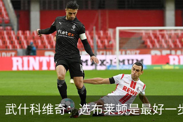 武什科维奇：选布莱顿是最好一步，这里擅长培养年轻球员